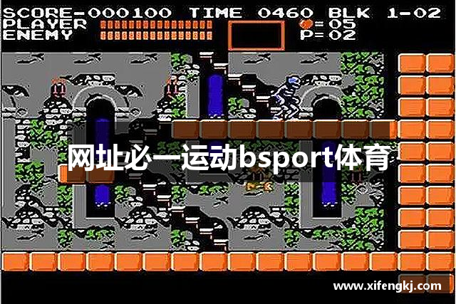 网址必一运动bsport体育